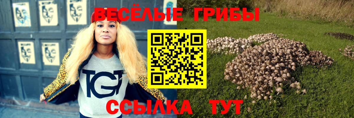 Псилоцибиновые грибы мухоморы Грозный