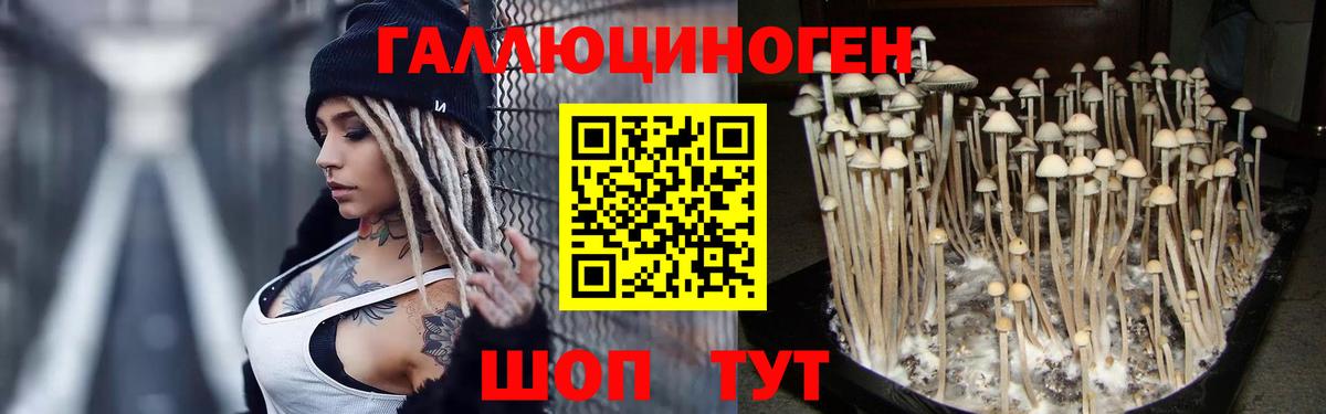 Грозный  Псилоцибиновые грибы ЛСД  Вход с VPN 