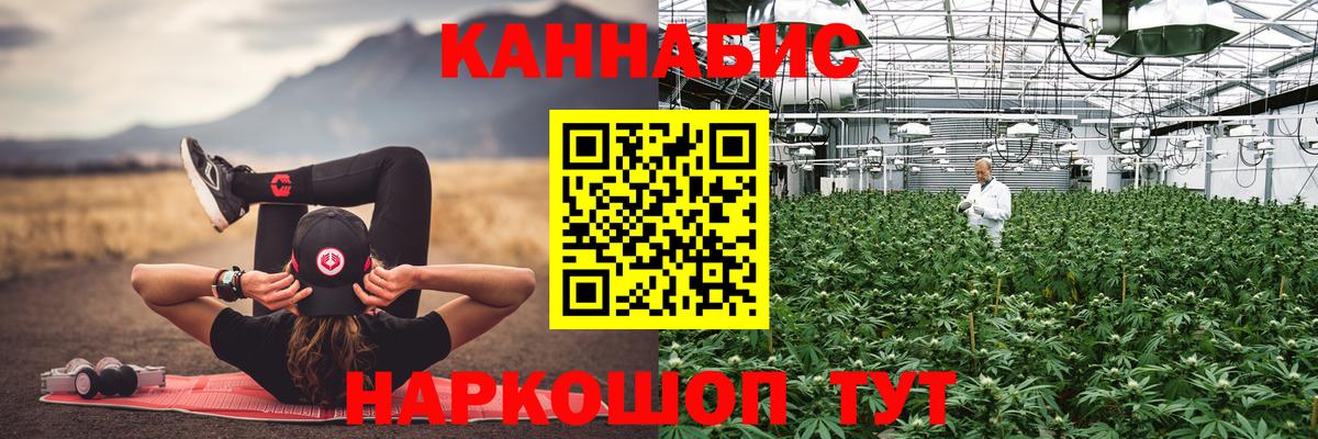 Шишки марихуана Amnesia Грозный